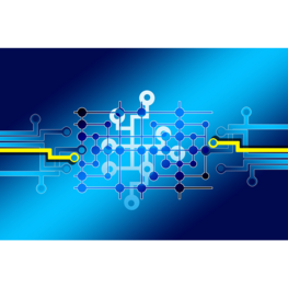 O-Ring in O-Chain